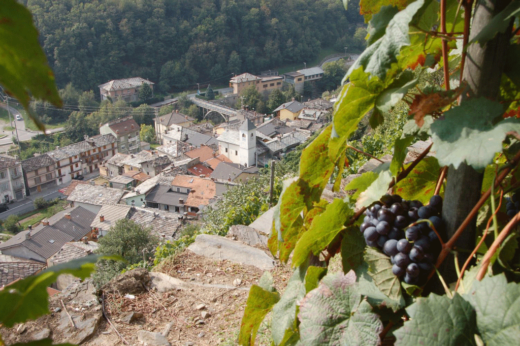 Pomaretto, un ciabot recuperato, ora degustazioni del vino ramìe