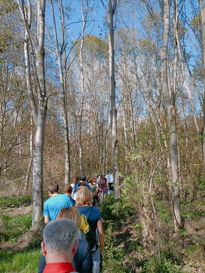 Passeggiata silenziosa al Bosco del Gerbasso di Carmagnola