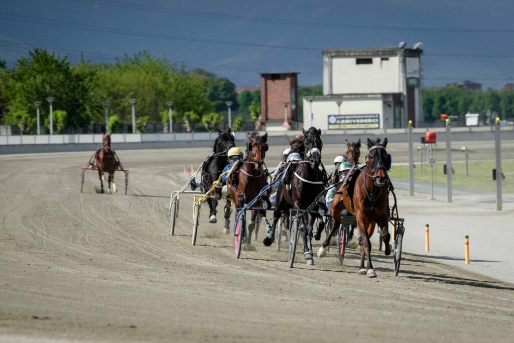 Doppio appuntamento per l’Ippodromo di Vinovo mercoledì 23