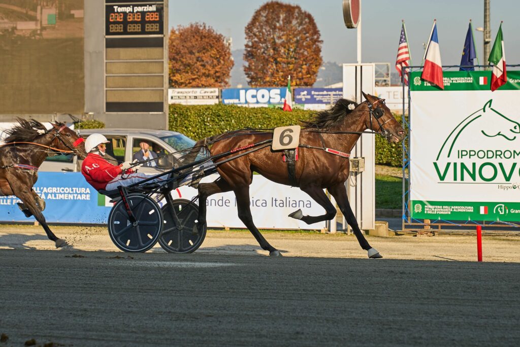 Polonia GP ippodromo